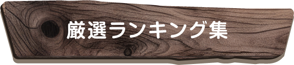 厳選ランキング集